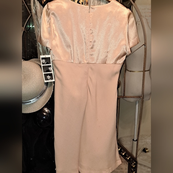 Donna Ricco New York Petite Short Sleeve Midi Semi Formal Dress Copper Pink sz 4 - Picture 3 of 11
